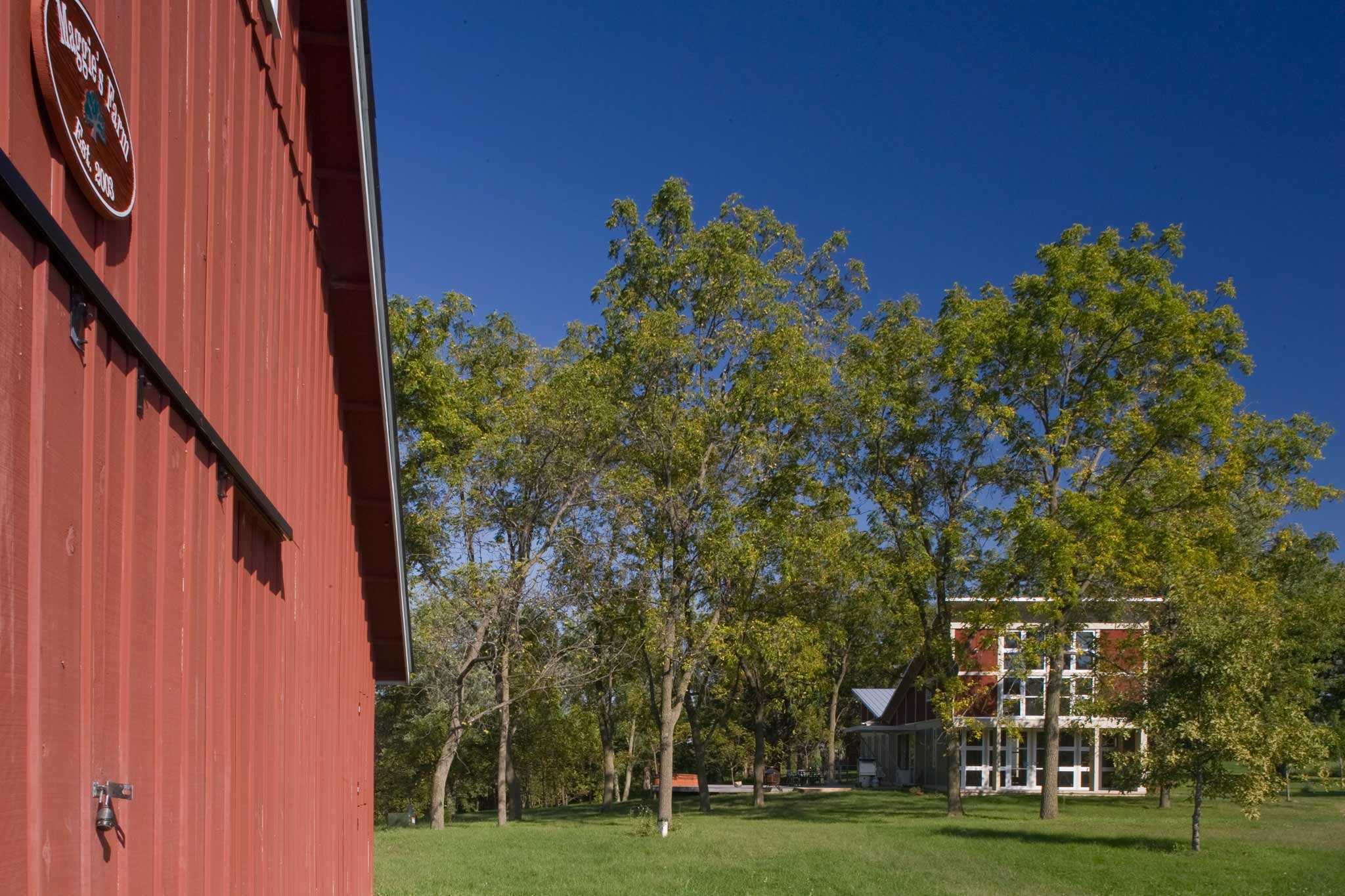 Maggie's Farm