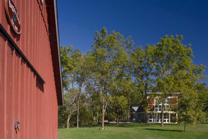 Maggie's Farm
